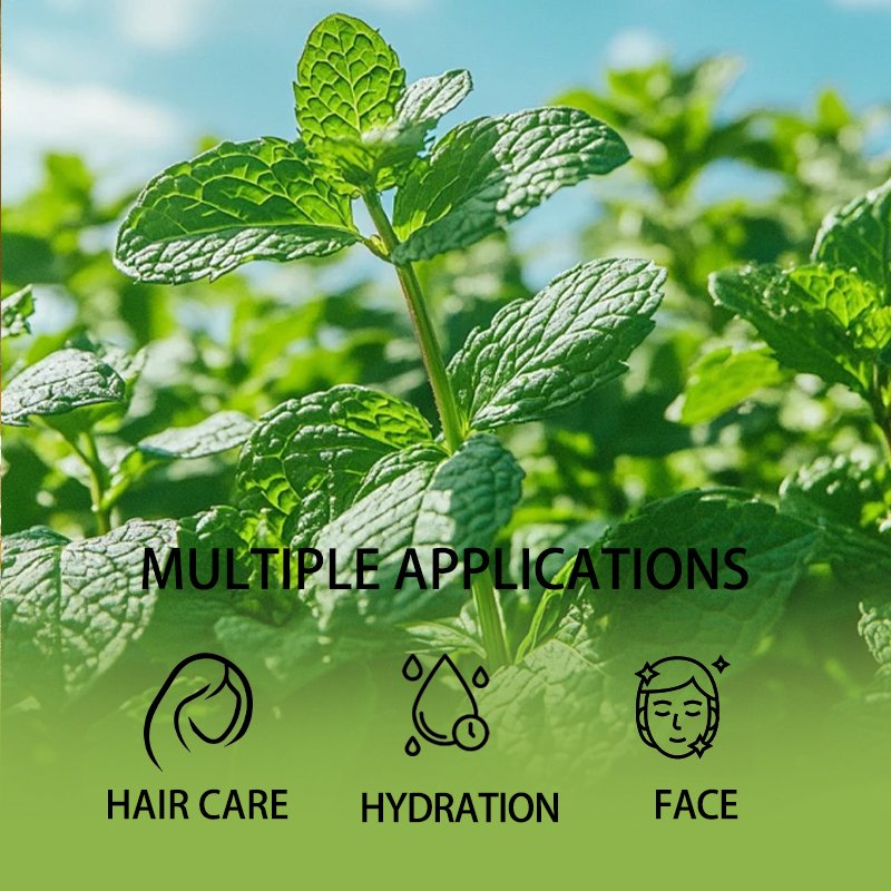 FIRMOYO PEPPERMINT ESSENTIAL OIL - 图片 5